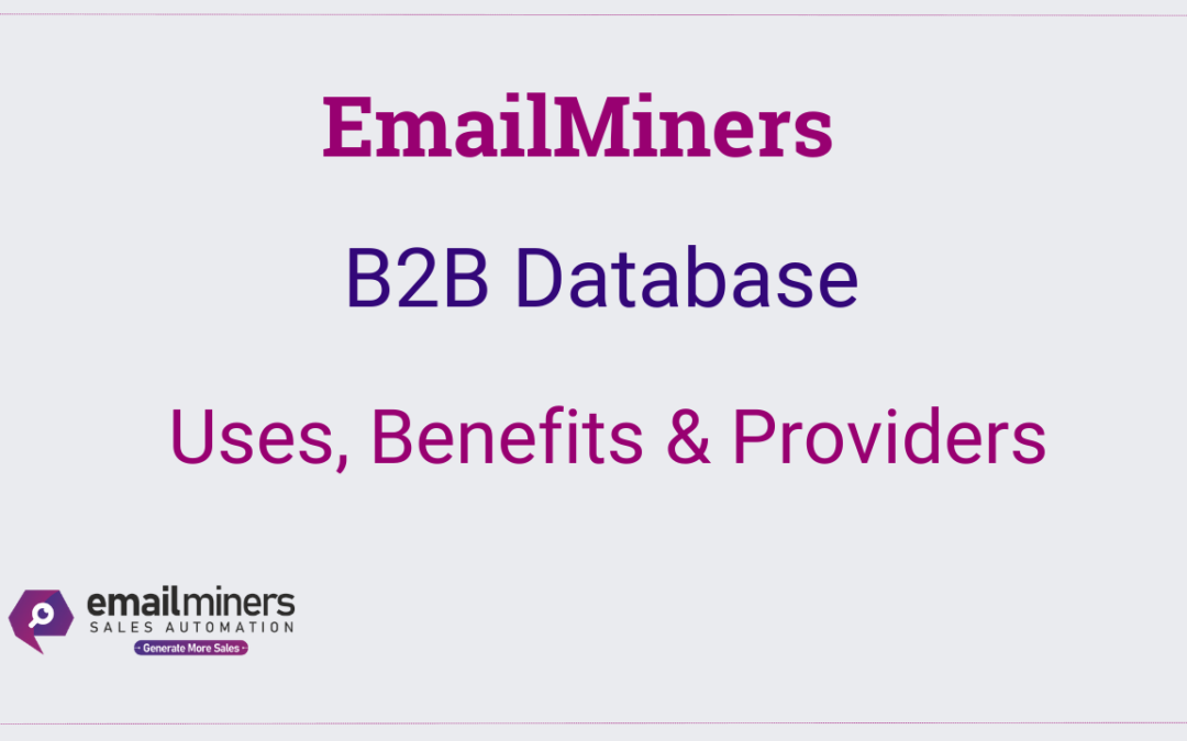 B2B Database Uses, benefits and providers